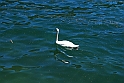 Lago di Como_214